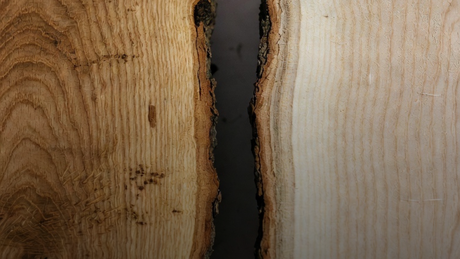 Jasan vs. Dub: Které dřevo je lepší pro jídelní stůl?