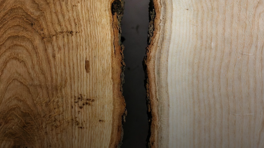 Jasan vs. Dub: Které dřevo je lepší pro jídelní stůl?